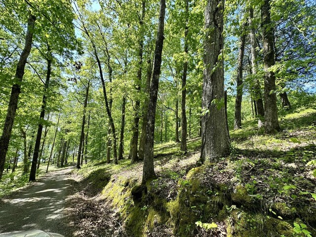 14 Kilo Ford Rd, Parsons, TN 38363
