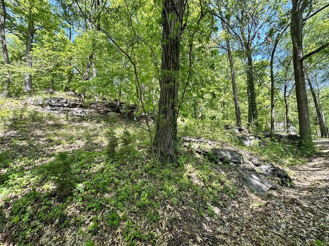 14 Kilo Ford Rd, Parsons, TN 38363