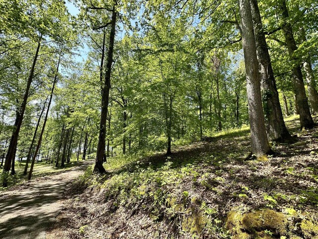 14 Kilo Ford Rd, Parsons, TN 38363