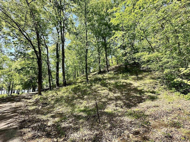 14 Kilo Ford Rd, Parsons, TN 38363