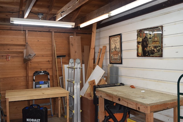 basement with wooden walls