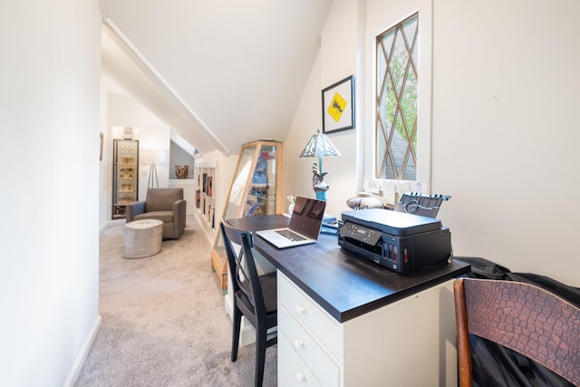 office featuring light colored carpet