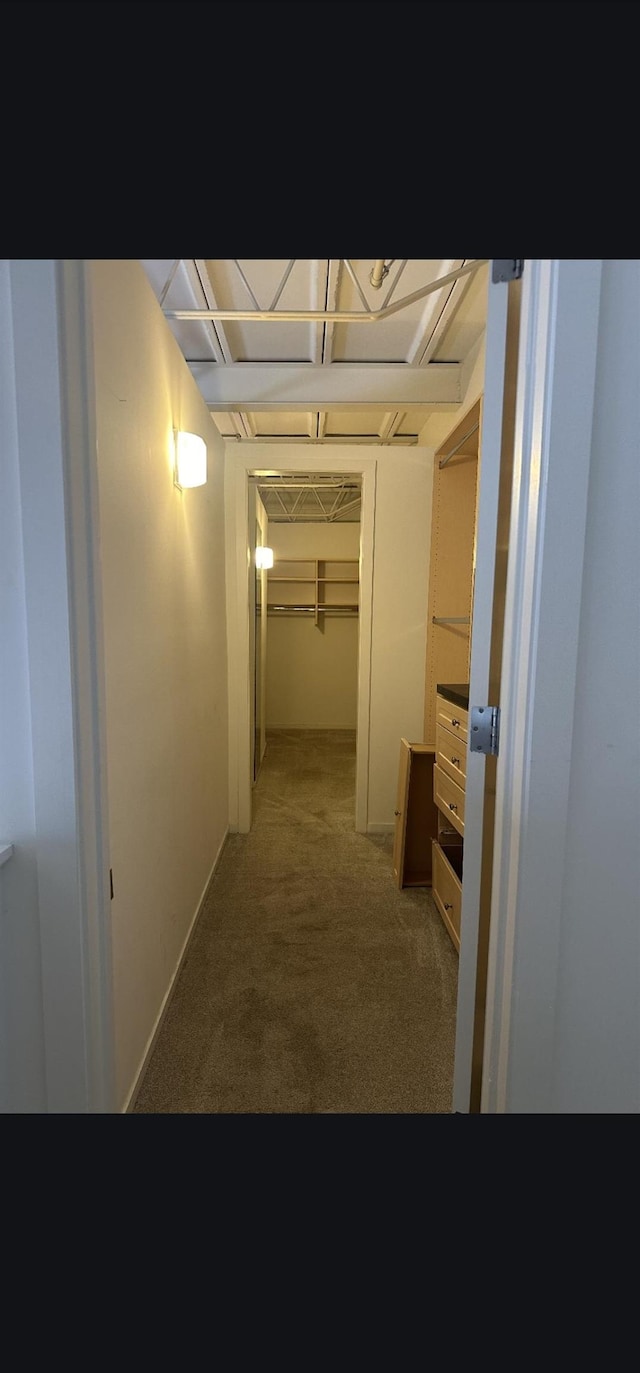 415 S Front St Unit 120, Memphis, TN 38103 - hallway featuring carpet floors