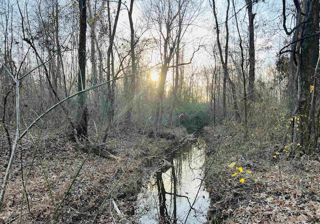 0 Sellers Dr, Oakland, TN 38060