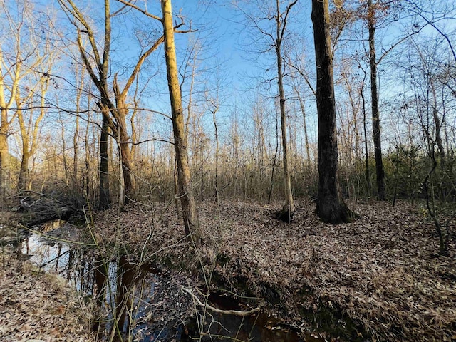 0 Sellers Dr, Oakland, TN 38060