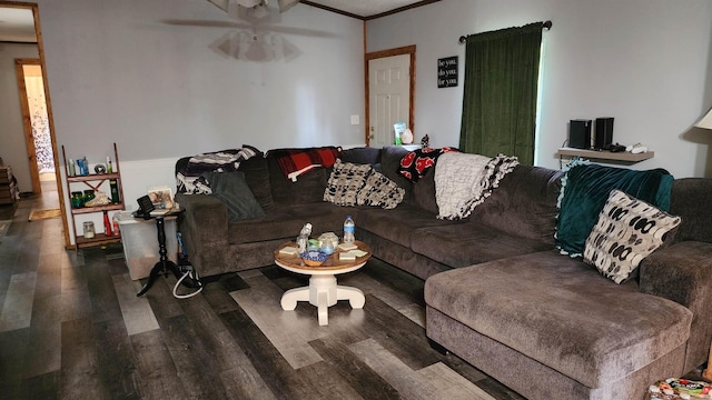 living room featuring wood finished floors, a ceiling fan, and crown molding