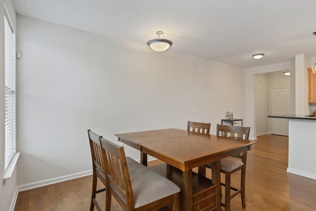 730 Litty Ct Unit 204, Memphis, TN 38103 - dining room featuring wood finished floors and baseboards