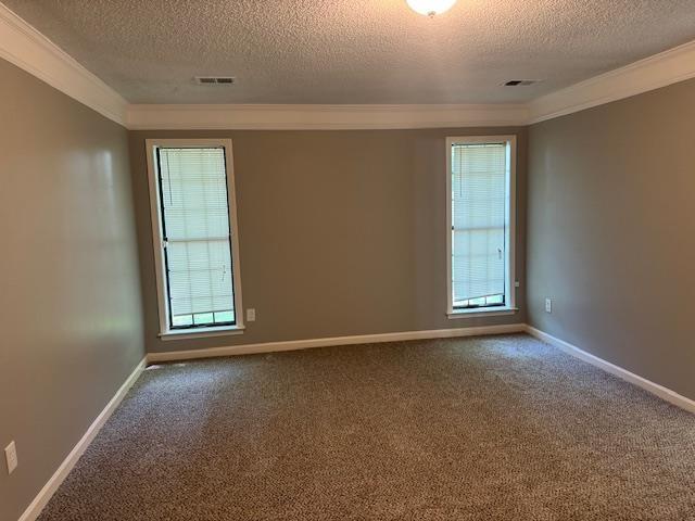 carpeted spare room featuring ornamental molding, a healthy amount of sunlight, and a textured ceiling