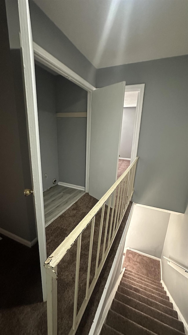 stairs featuring carpet flooring