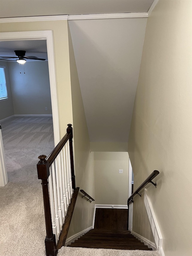 staircase with carpet flooring, baseboards, and a ceiling fan