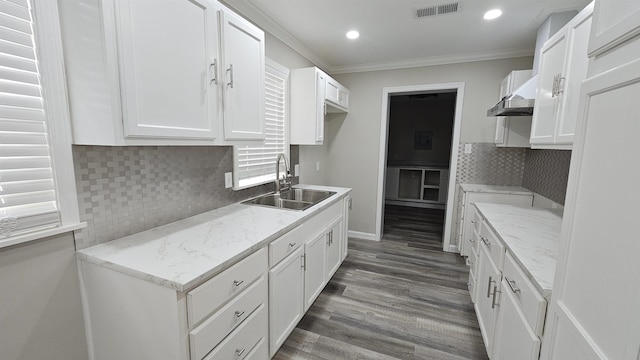 kitchen with visible vents, wood finished floors, a sink, ornamental molding, and recessed lighting
