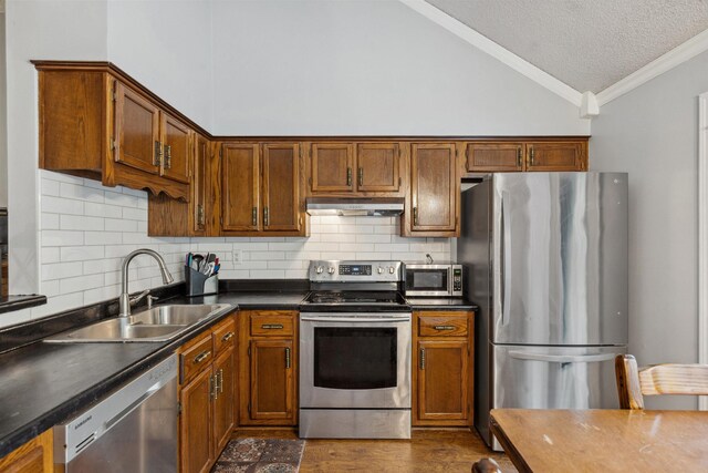 kitchen featuring stainless steel appliances, under cabinet range hood, ornamental molding, a sink, and lofted ceiling