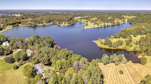 birds eye view of property featuring a water view and a forest view