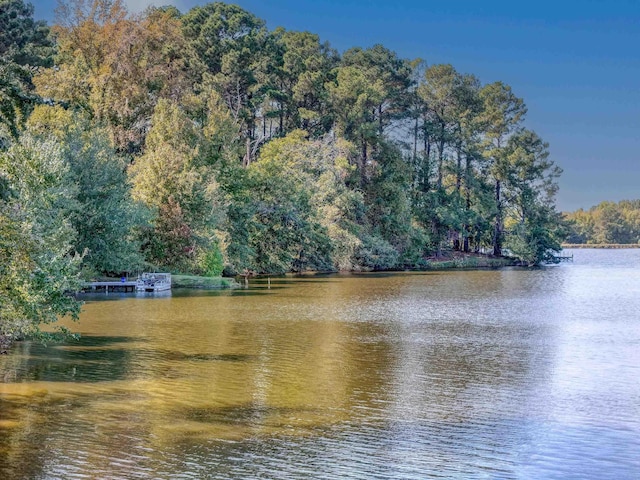view of water feature with a forest view