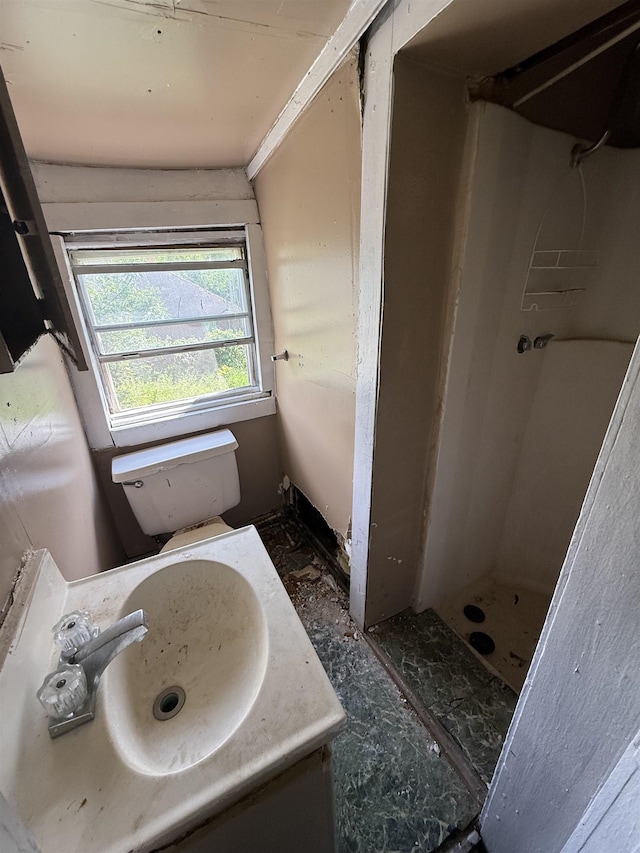 bathroom featuring vanity, toilet, and a stall shower
