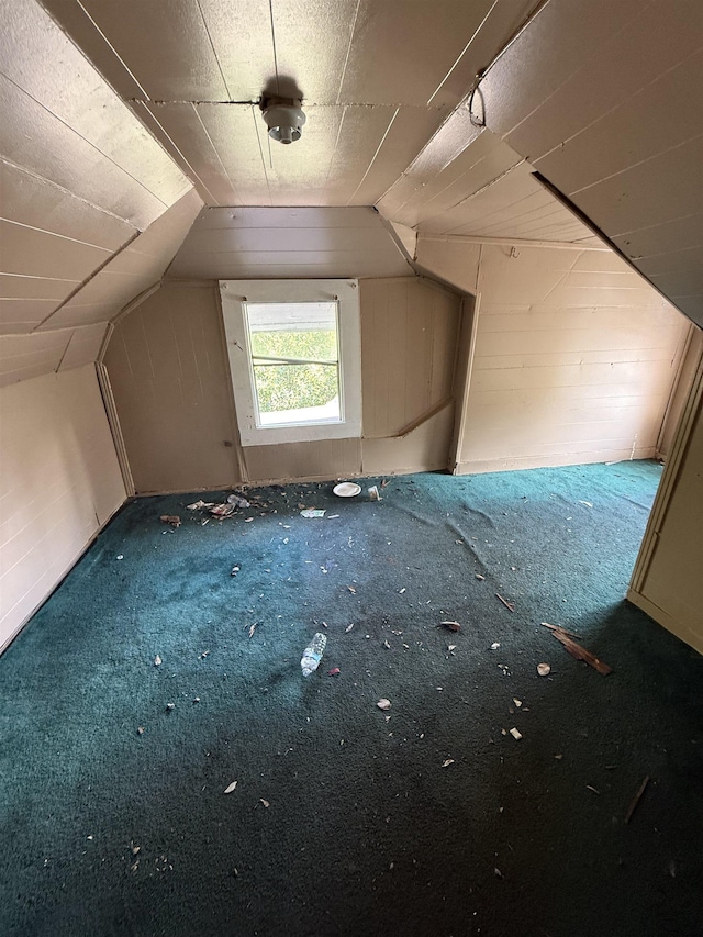 additional living space featuring carpet flooring and vaulted ceiling
