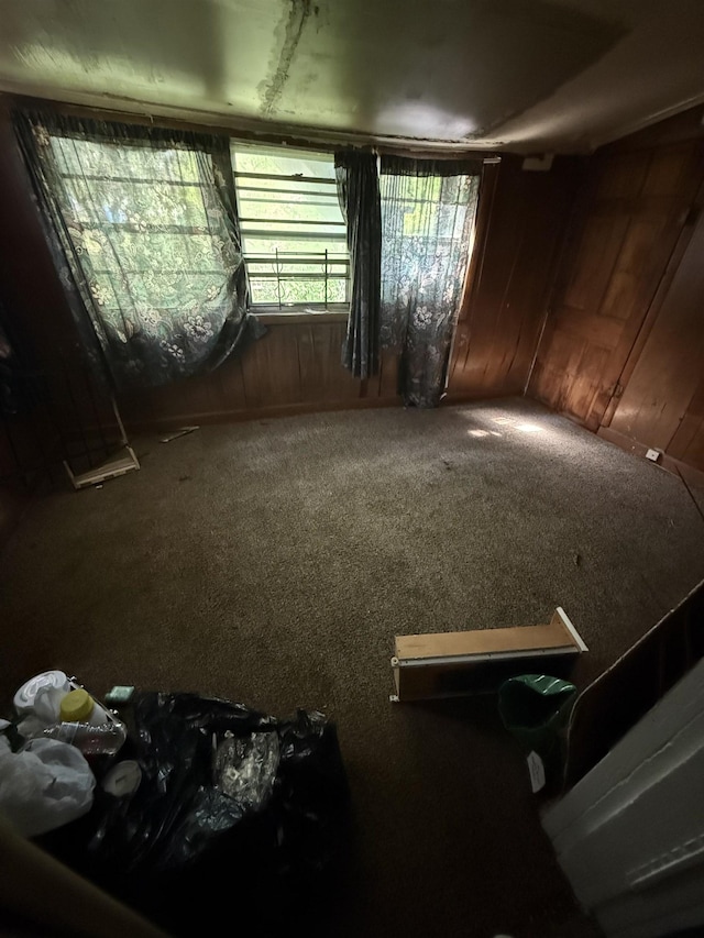 miscellaneous room with carpet and wooden walls