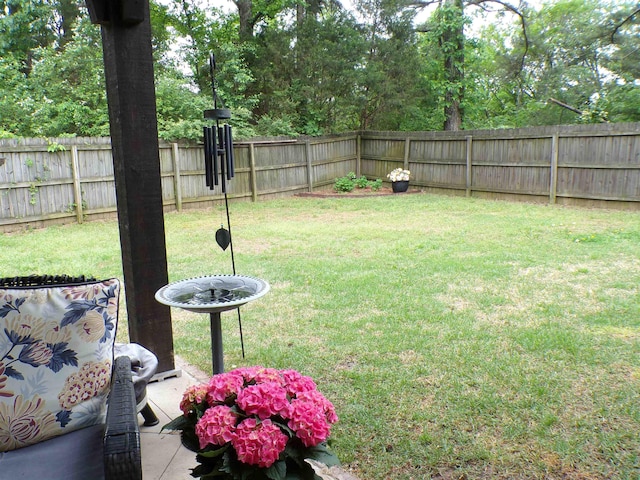 view of yard with a fenced backyard