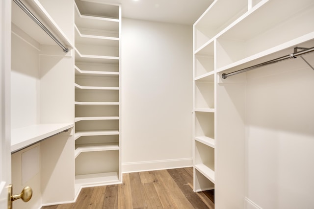 walk in closet featuring wood finished floors