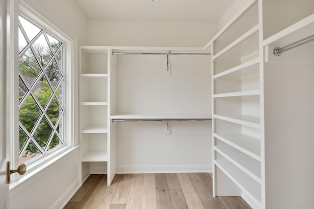 spacious closet featuring light wood-style flooring