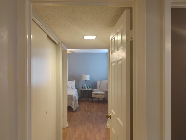 855 Creekside St Unit 303, Memphis, TN 38117 - hallway with a textured ceiling and light wood-style floors