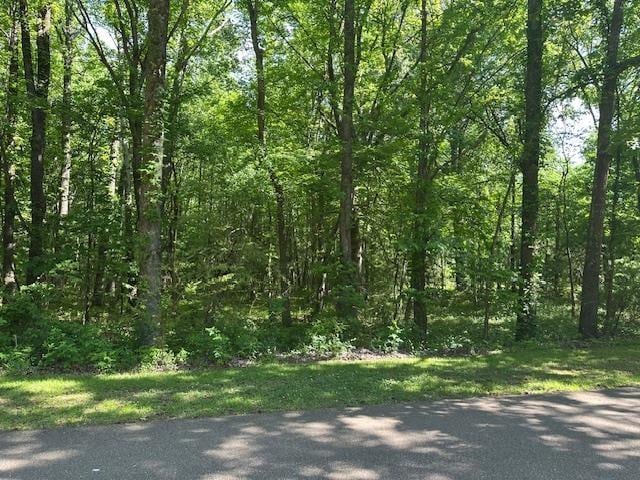 0 Old Creek Rd, Memphis, TN 38125