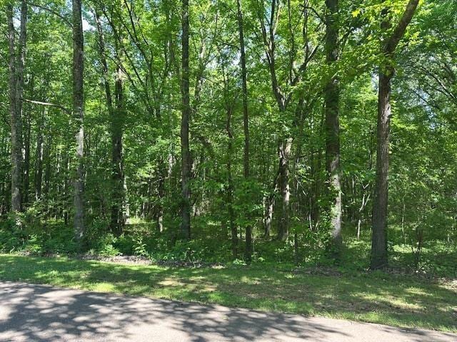 0 Old Creek Rd, Memphis, TN 38125