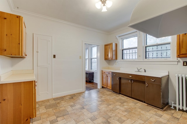 kitchen with ornamental molding, radiator, light countertops, a sink, and stone finish flooring