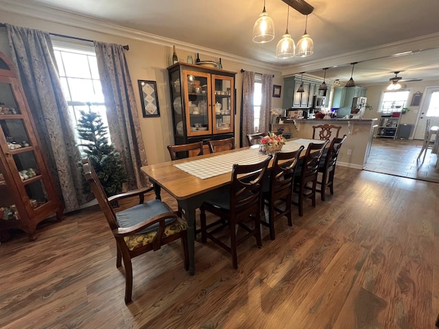 dining space with crown molding, a ceiling fan, and dark wood-style floors