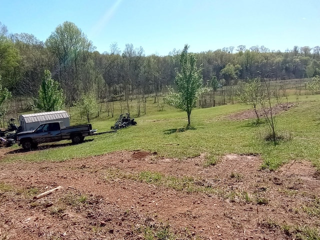 490 Early Bird Ln, Savannah, TN 38372 - view of grassy yard featuring a wooded view