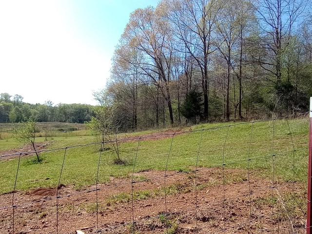 490 Early Bird Ln, Savannah, TN 38372 - view of yard featuring a view of rural / pastoral area