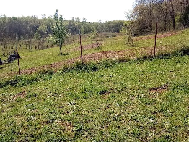 490 Early Bird Ln, Savannah, TN 38372 - view of green lawn with a rural view