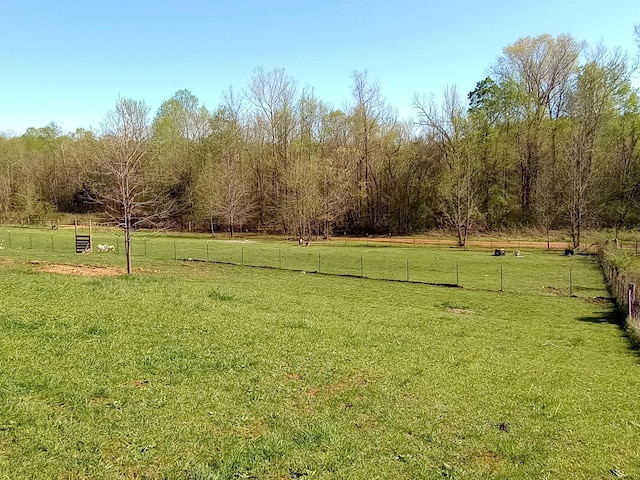 490 Early Bird Ln, Savannah, TN 38372 - view of yard