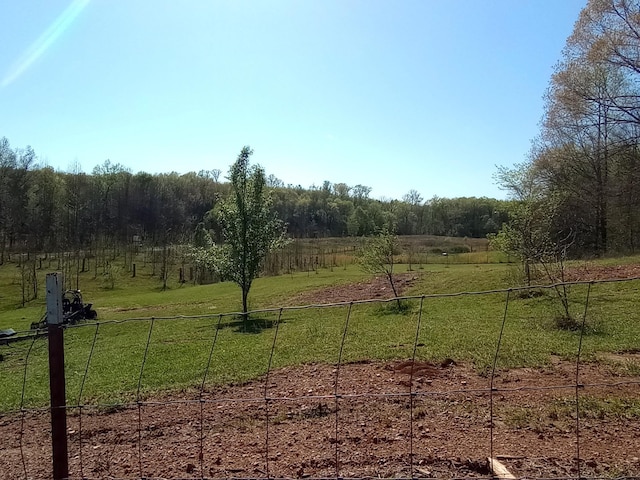 490 Early Bird Ln, Savannah, TN 38372 - view of yard featuring a view of rural / pastoral area