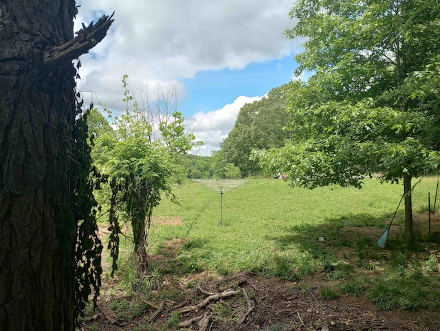 490 Early Bird Ln, Savannah, TN 38372 - view of undeveloped land