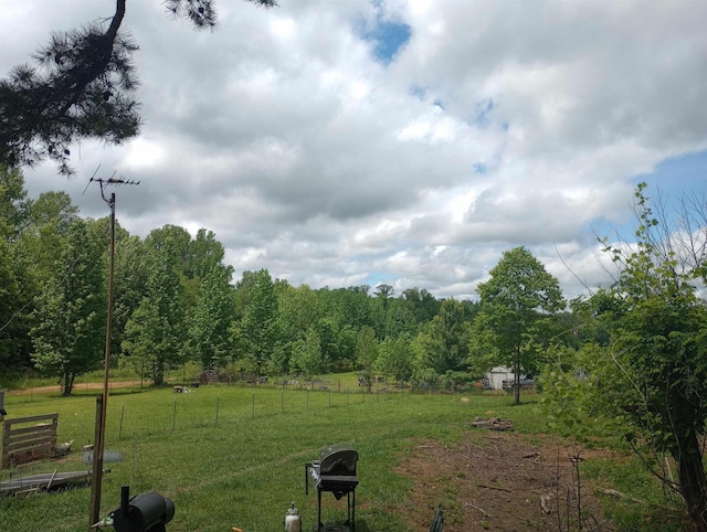 490 Early Bird Ln, Savannah, TN 38372 - view of yard with a view of countryside