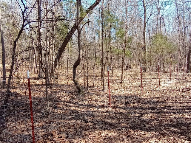 490 Early Bird Ln, Savannah, TN 38372 - view of undeveloped land