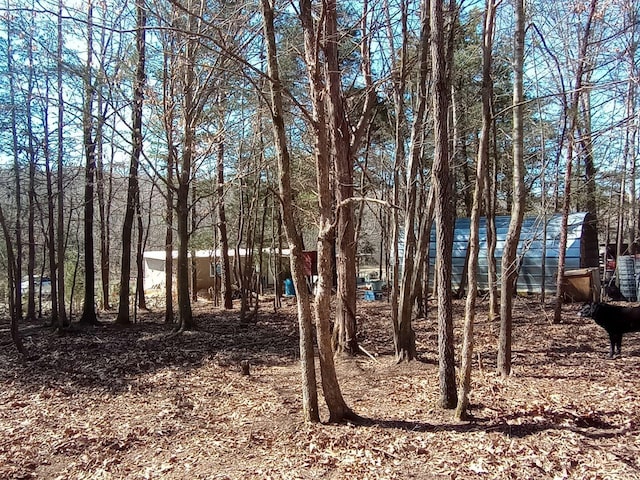 490 Early Bird Ln, Savannah, TN 38372 - view of yard