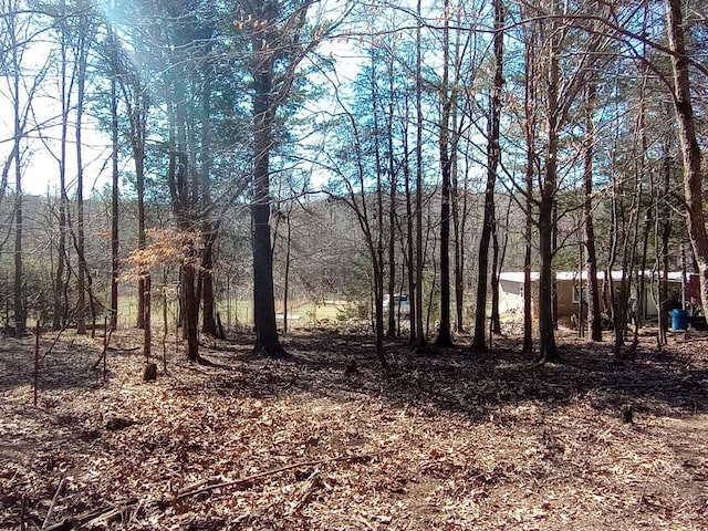 490 Early Bird Ln, Savannah, TN 38372 - view of undeveloped land