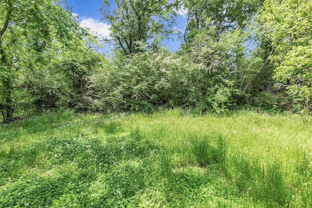 view of local wilderness featuring a wooded view