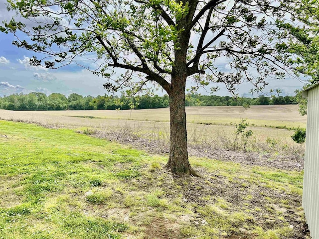 view of yard featuring a rural view
