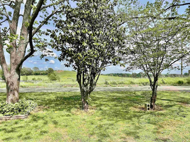 view of yard with a rural view