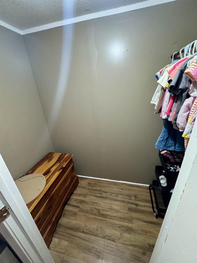 interior space with wood finished floors