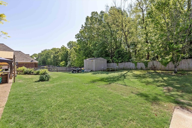 5376 Scarlet Ridge Dr, Arlington, TN 38002 - view of yard with a storage shed, an outdoor structure, and a fenced backyard
