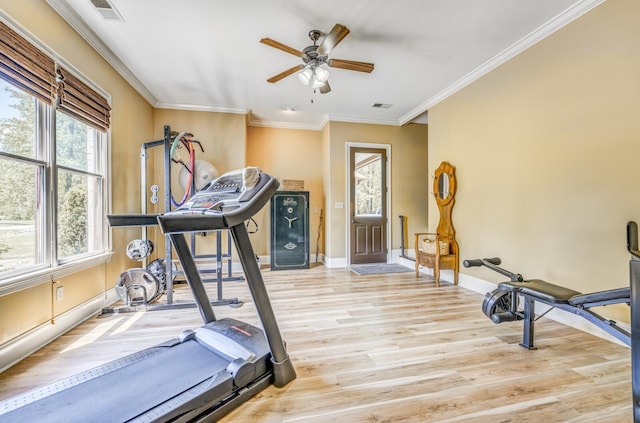 exercise room with crown molding, ceiling fan, visible vents, and light wood finished floors