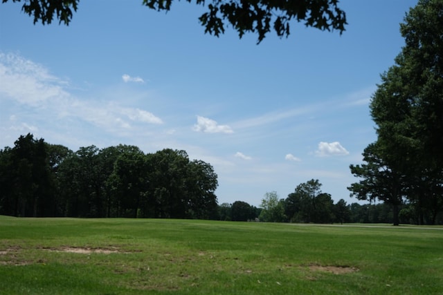 view of property's community featuring a yard