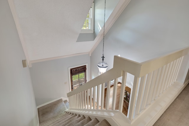 3365 Stone Creek Cv, Collierville, TN 38017 - stairs with carpet floors, crown molding, baseboards, and a towering ceiling