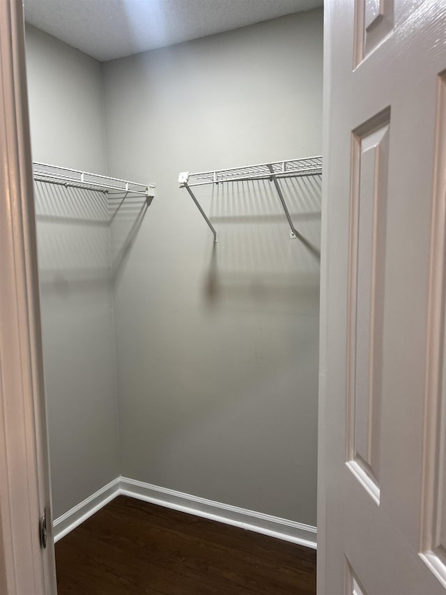 spacious closet featuring dark wood finished floors