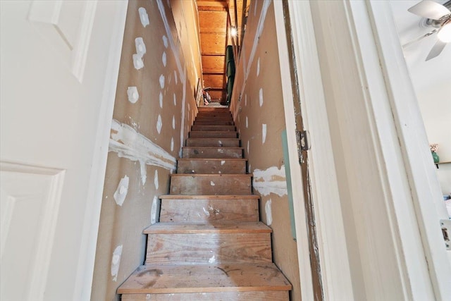 staircase with ceiling fan
