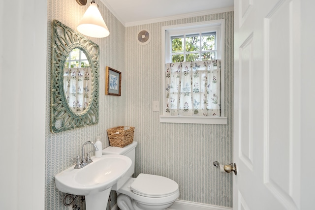 246 Palisade St, Memphis, TN 38111 - bathroom featuring a sink, toilet, and ornamental molding
